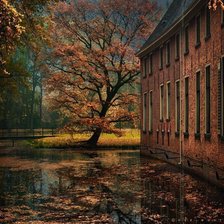 Cross stitch pattern: #553925