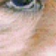 Preview of cross stitch pattern: #553952