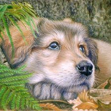 Cross stitch pattern: #553952