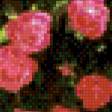 Preview of cross stitch pattern: #553962