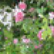Preview of cross stitch pattern: #553965
