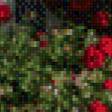 Preview of cross stitch pattern: #553966