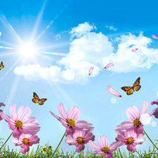 Cross stitch pattern: #554110