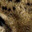 Preview of cross stitch pattern: #554137