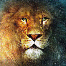 Cross stitch pattern: #554144