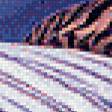Preview of cross stitch pattern: #554147