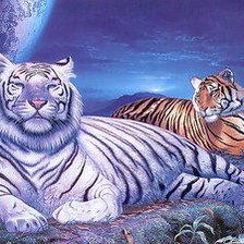 Cross stitch pattern: #554147