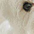 Preview of cross stitch pattern: #554152