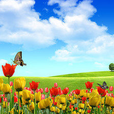 Cross stitch pattern: #554159