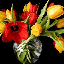 Cross stitch pattern: #554165