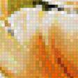 Preview of cross stitch pattern: #554239