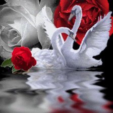 Cross stitch pattern: #554253