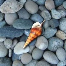 Source of cross stitch pattern: #554372
