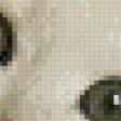 Preview of cross stitch pattern: #554416