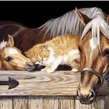 Cross stitch pattern: #554425