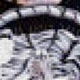 Preview of cross stitch pattern: #554456