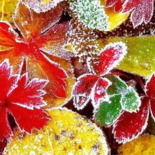 Source of cross stitch pattern: #554457