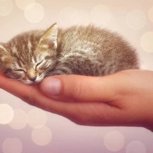 Cross stitch pattern: #554516