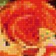 Preview of cross stitch pattern: #554540