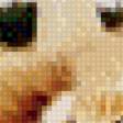 Preview of cross stitch pattern: #554567