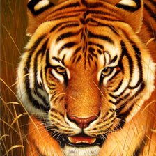 Cross stitch pattern: #554577