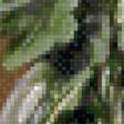 Preview of cross stitch pattern: #554585