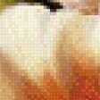 Preview of cross stitch pattern: #554601