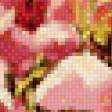 Preview of cross stitch pattern: #554605