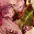 Preview of cross stitch pattern: #554611