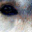 Preview of cross stitch pattern: #554616