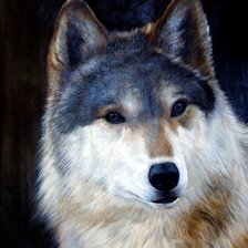 Cross stitch pattern: #554616