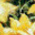 Preview of cross stitch pattern: #554618