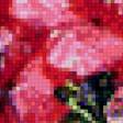 Preview of cross stitch pattern: #554621