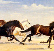 Cross stitch pattern: #554627