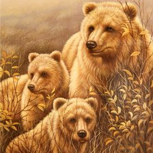 Cross stitch pattern: #554636