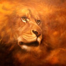Cross stitch pattern: #554637