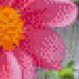 Preview of cross stitch pattern: #554638