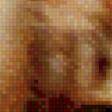 Preview of cross stitch pattern: #554639