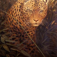 Cross stitch pattern: #554643