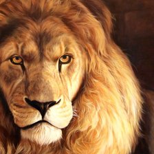 Cross stitch pattern: #554644