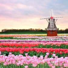 Cross stitch pattern: #554762