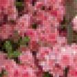 Preview of cross stitch pattern: #554765