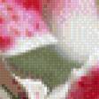 Preview of cross stitch pattern: #554782