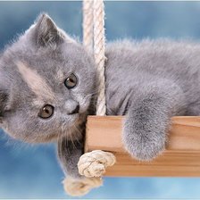 Source of cross stitch pattern: #554787
