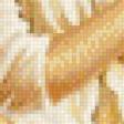 Preview of cross stitch pattern: #554795