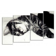 Cross stitch pattern: #554798