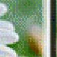 Preview of cross stitch pattern: #554799