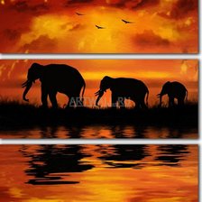 Cross stitch pattern: #554803