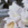 Preview of cross stitch pattern: #554806