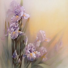Cross stitch pattern: #554807